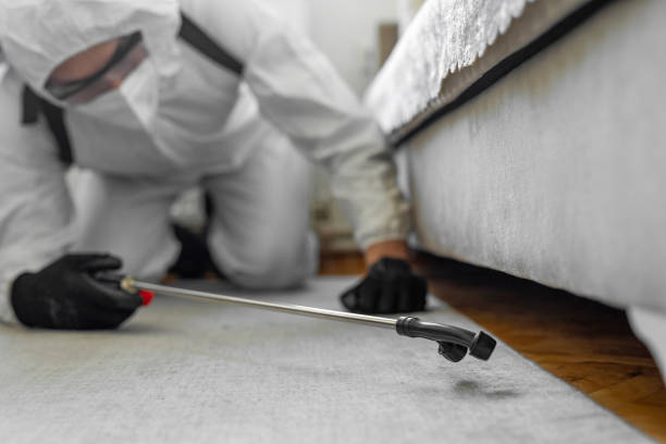 Professional Cockroach Control technician working in Greenwood, IN
