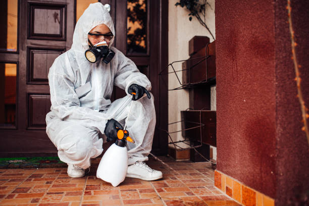 Reliable Cockroach Control contractor in Greenwood, IN by Nex Pest Control